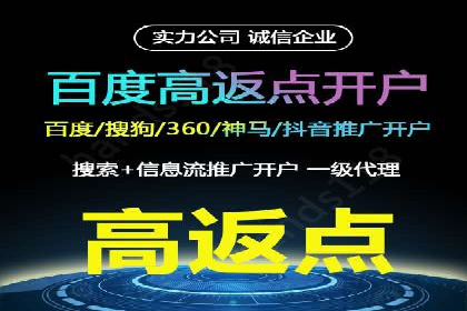 某行业SEM竞价策略的运营实践与效果